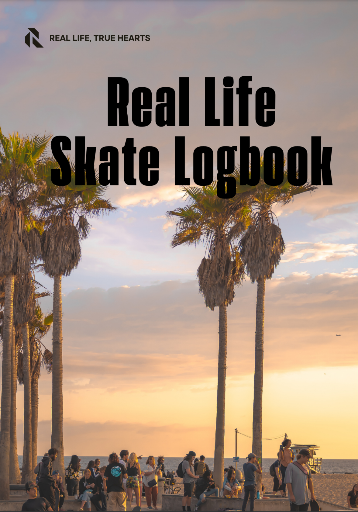 Real Life Skate Log