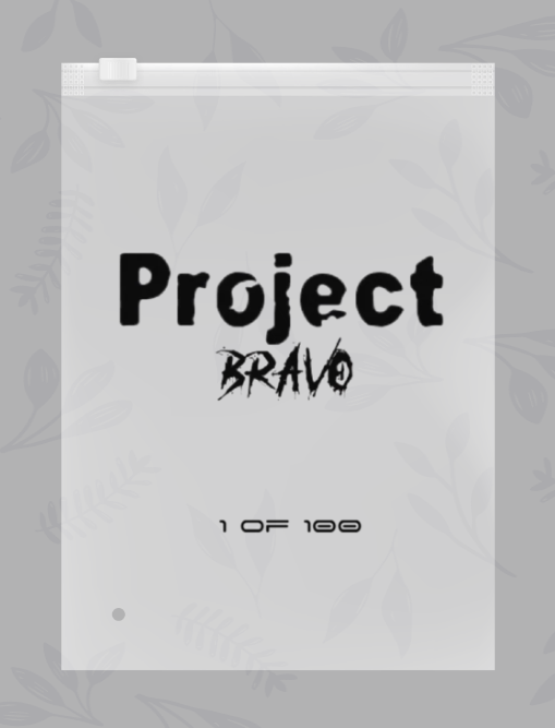 Project-B Hoodie Black
